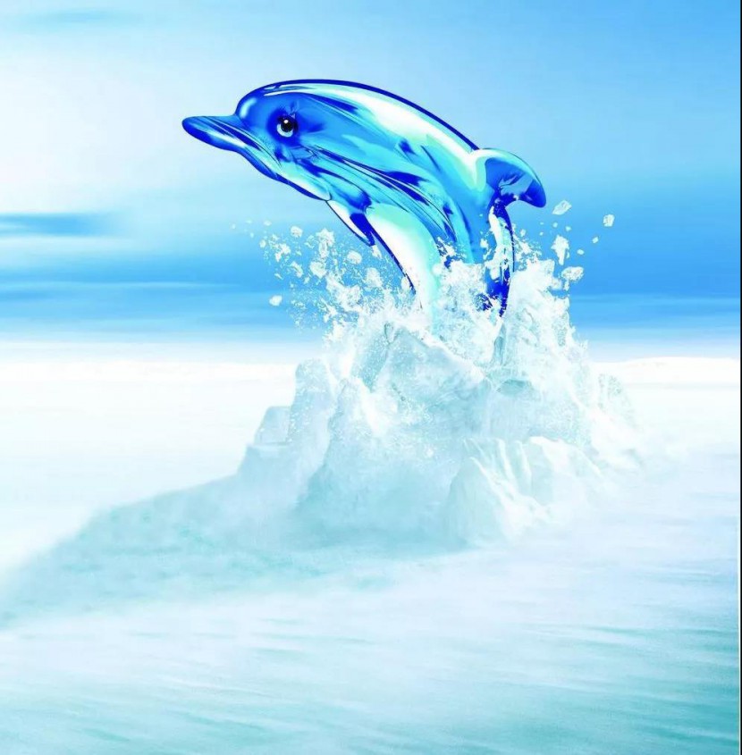 凈水器租賃 凈水器租賃